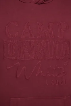 Herren CAMP DAVID & SOCCX Hoodie mit tonigem Logo Artwork
